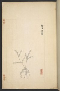 Ou 13347 B f.2r Plano de 