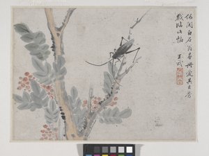 Insecto e árvore depois de Shen Zhou (tinta e cor sobre papel) de Wu Wang