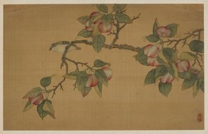 Bird and Fruit, dinastia Qing, 1741.
