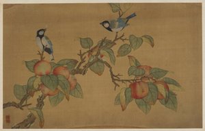 Aves e frutas