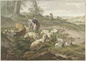 Dólares e ovelhas numa paisagem montanhosa