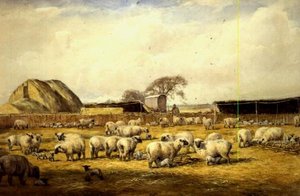 Caneta Cordeiro, Hungerford de Wycliffe Egginton