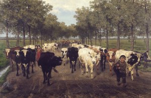 O Meersstraat em Gand de Xavier de Cock