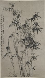 Bambu e rochas, c.1760 (tinta no papel) de Xie Zheng