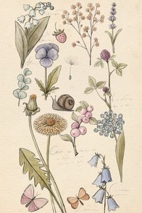 Desenho da instalação de Xuan Thai