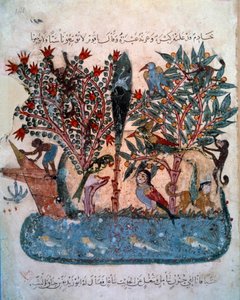 A misteriosa ilha povoada com animais estranhos Miniatura tirada do "Maqamat" (Seances) por Abu Mohammed al-Kasim ibn Ali Hariri (ou Al-Hariri ou Al Hariri) (1054-1122) alistada por Yahya Mahmud al-Wasiti (al Wasiti) em 1237, Paris, B.N. de Yahya ibn Mahmud Al Wasiti
