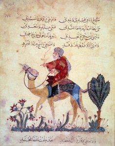 Um viajante de camelo. Miniatura do "Maqamat" (Seances) de Abu Mohammed al-Kasim ibn Ali Hariri (ou Al-Hariri ou Al Hariri) (1054-1122) alistado por Yahya Mahmud al-Wasiti (al Wasiti) em 1237, Paris, B.N.