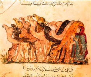 Um grupo de camelos e o pastor de camelos, de "Maqamat". de Yahya ibn Mahmud Al Wasiti