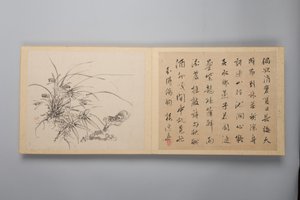 Elegância Refinada nas Quatro Estações Shiji seiga, Álbum de Pinturas de Flores, 1844. de Yamamoto Baiitsu