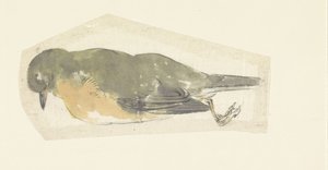 tordo morto de Yamamoto Shinryo Baiitsu