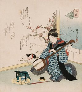 Te-ike no hana "Flor escolhida a dedo", um termo usado para se referir a uma gueixa ou cortesã que se tornou a esposa ou amante do consumidor que comprou seu contrato com um bordel, ilustrando uma mulher ajustando um samisen, com poemas apresenta de Yanagawa II Shigenobu