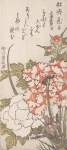 Peônias e Íris, século 18-19. de Yanagawa Shigemasa
