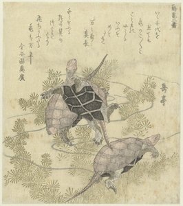 Três tartarugas entre as plantas aquáticas
Uma série de duas estampas de gruas e tartarugas (título da série)
Tsurukame niban (título da série sobre o objecto) de Yashima Gakutei