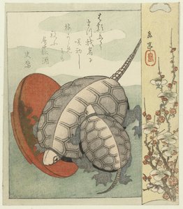 Tartarugas com saquê de Yashima Gakutei