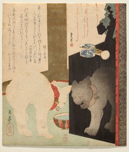 Gato Branco Reflectido num Curativo de Verniz de Yashima Gakutei
