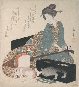 Mulher a afinar um shamisen e gato a olhar para o seu próprio reflexo de Yashima Gakutei