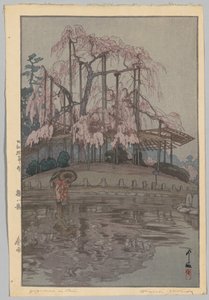 Oito cenas de Cherry Blossoms: Spring Rain (Sakura não gosta de: Harusame) de Yoshida Hiroshi