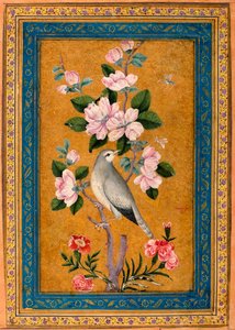Pássaro pousando em um galho em flor, 1696. de Yusuf Zaman