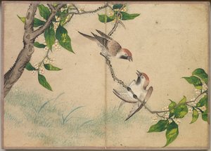Álbum de Mesa: Pinturas de Flores e Pássaros (Gossiping Sparrows) de Zhang Ruoai