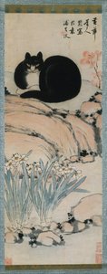 Black Cat e Narcissus, século XIX. de Zhu Ling