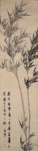 Bambu de Zhu Lu