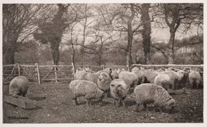 Uma Pastoral de Outono (un automne champetre) de Frederick (attr. to) Barnard