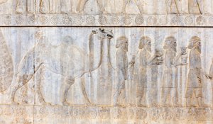 Antigo relevo dos Aquemenídeos; delegação dos Parthians com camelo; Palácio Apadana; sítio arqueológico; antiga cidade persa Persepolis; Património Mundial da UNESCO; Província de Fars; Irão; Ásia