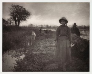 Agricultura Arável, Colheita 