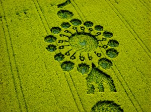 Círculo de culturas em campo de colza, Milk Hill, Alton Priors, Vale of Pewsey, Wiltshire de Ferdinand Georg Waldmuller