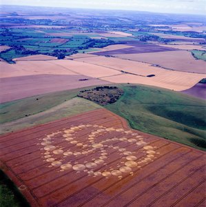 Círculo de culturas no campo de trigo, Milk Hill, Alton Priors, Vale of Pewsey, Wiltshire
