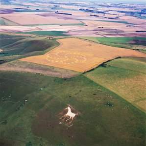 Círculo de culturas no campo de trigo, Milk Hill, Alton Priors, Vale of Pewsey, Wiltshire de Ferdinand Georg Waldmuller