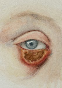 Olhos de Frederick (attr. to) Barnard