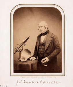 James Scott Bowerbank, geólogo britânico de Ferdinand Georg Waldmuller
