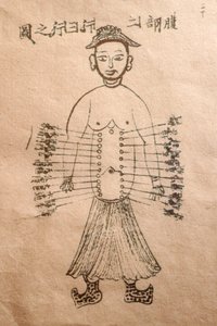Museum of Traditional Vietnamese Medicine, The channels and vessels, Livro de acupunctura, Cidade de Ho Chi Minh, Vietname