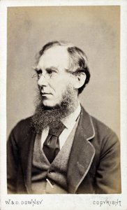 Sir Joseph Dalton Hooker, botânico britânico, final do século XIX. de Ferdinand Georg Waldmuller