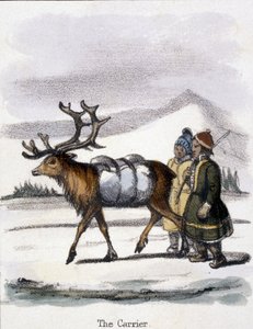 The Carrier