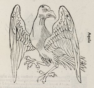 A constelação de Aquila de John Pardon