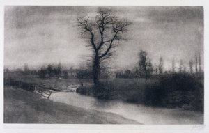 Paisagem de inverno: árvore solitária junto a uma curva de um rio. de Ferdinand Georg Waldmuller