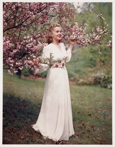 Mulher a modelar um vestido perto da flor, c 1940 de Frederick (attr. to) Barnard