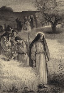 Jesus e seus discípulos no campo de milho