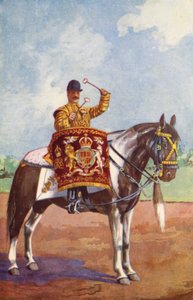 Tambor Cavalo da 1ª Guarda da Vida