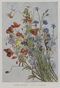 Fleurs Animees. Bluets et Coquelicots. (Flores animadas: flores e papoulas)