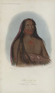 Mah-to-to-pa, Os Quatro Ursos, 2º Chefe dos Mandans (aquatint)