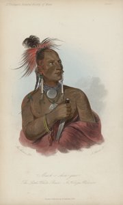 Meach-o shin-gaw, o pequeno urso branco, um guerreiro konza (aquatint)