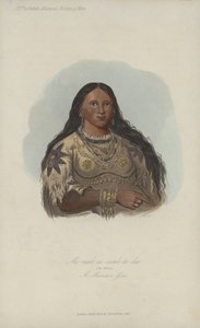 Mi-neek-ee-sunk-te-ka, o vison, uma garota mandan (aquatint)