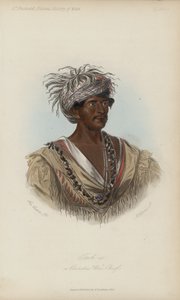 Tuch-ee, um chefe de guerra cherokee (aquatint)