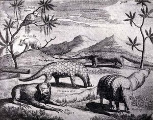 Criaturas do Northern River Plate, como retratado por um dos primeiros artistas, de Nierhoffs Voyages and Travels, de The Romance of the River Plate, vol. Eu, por WH Koebel, 1914