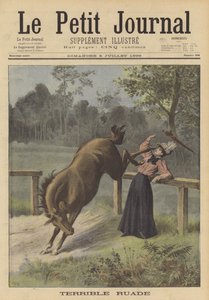 Uma mulher chutada por um cavalo