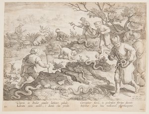 Cobras de caça de after Jan van der Straet, called Stradanus