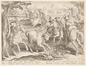 Capturando touros selvagens de after Jan van der Straet, called Stradanus